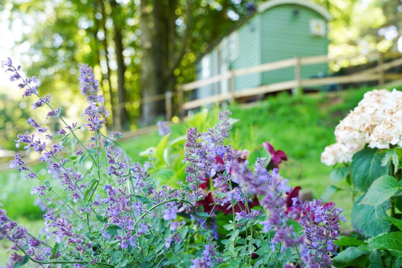 Lavender Retreat With Private Hot Tub Guest House Upper Hulme Exterior photo
